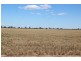 “Bellevue Aggregation”, Mallowa NSW 2400