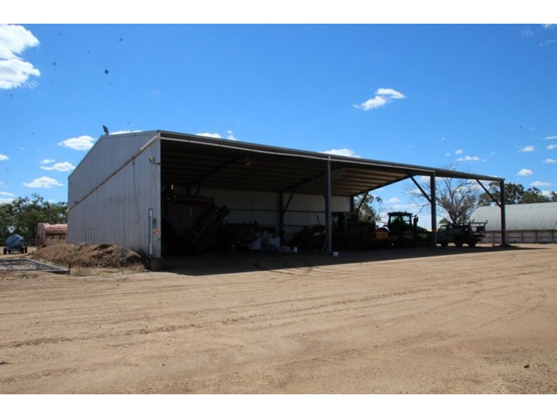 “Bellevue Aggregation”, Mallowa NSW 2400