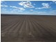 “Bellevue Aggregation”, Mallowa NSW 2400