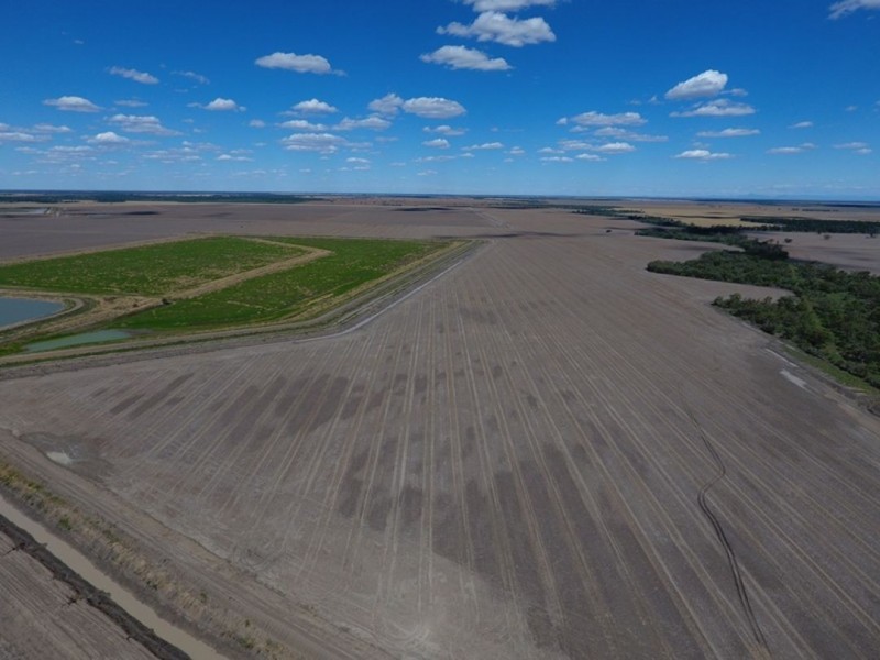 “Bellevue Aggregation”, Mallowa NSW 2400