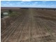 “Bellevue Aggregation”, Mallowa NSW 2400