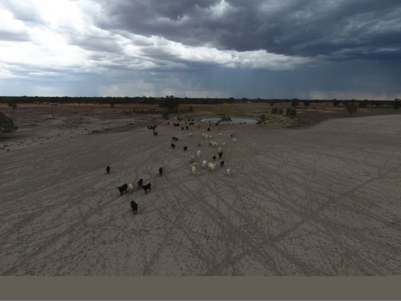 Wee Warra, Walgett NSW 2832