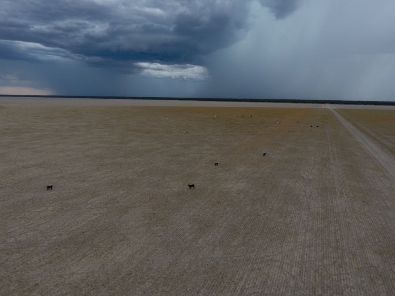 Wee Warra, Walgett NSW 2832