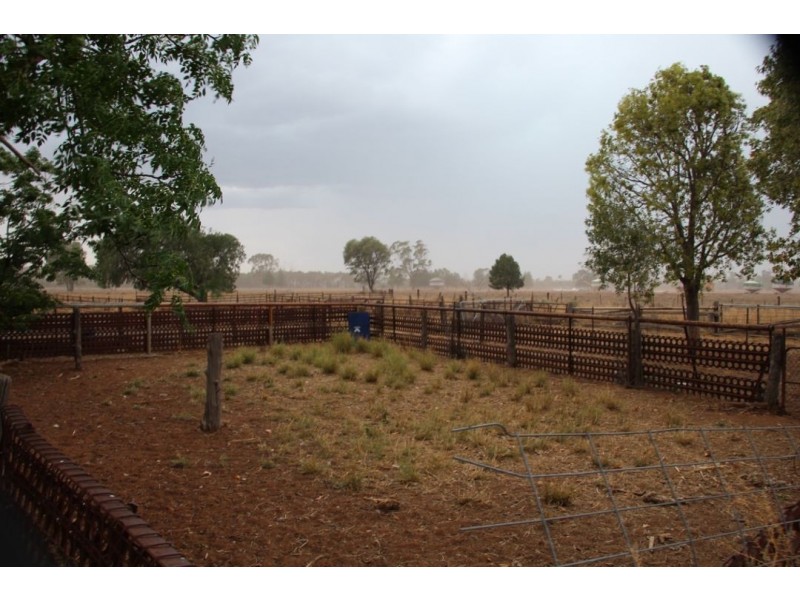 Wee Warra, Walgett NSW 2832