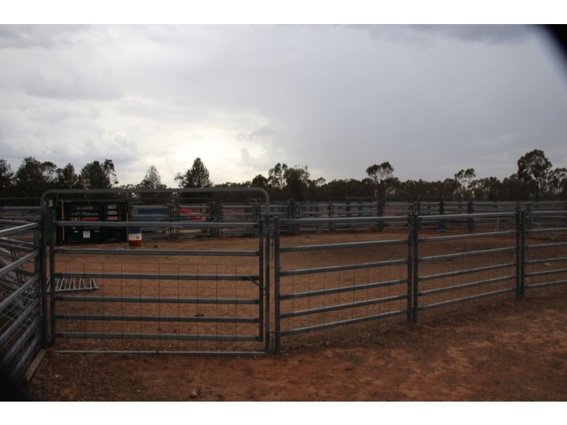 Wee Warra, Walgett NSW 2832