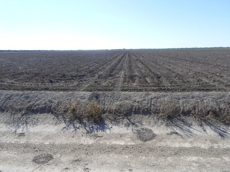 Garrawilla, Mungindi NSW 2406