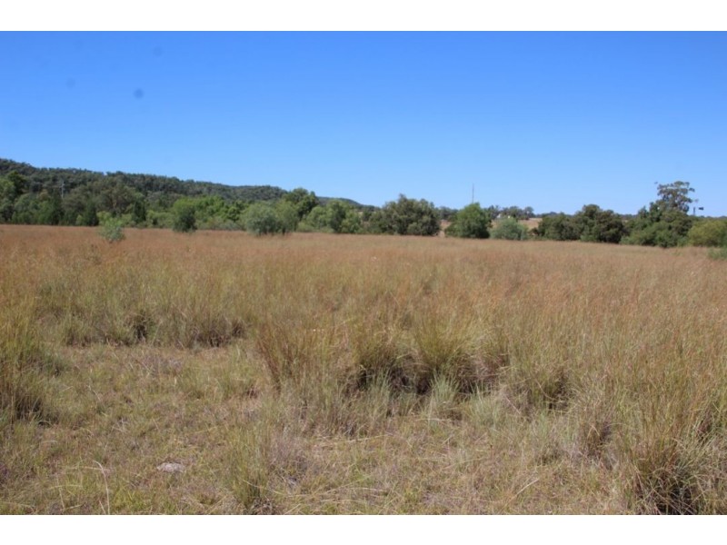 “Balfour”, Warialda NSW 2402