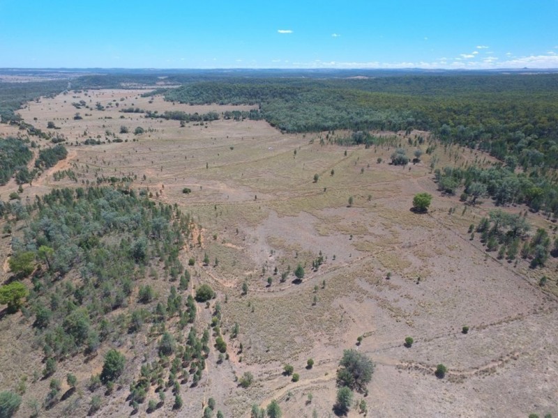 “Balfour”, Warialda NSW 2402