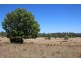 “Balfour”, Warialda NSW 2402