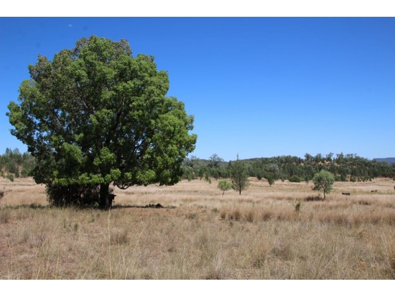 “Balfour”, Warialda NSW 2402