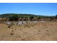 “Balfour”, Warialda NSW 2402