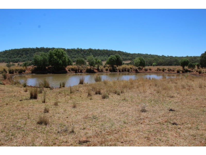 “Balfour”, Warialda NSW 2402