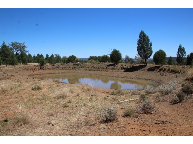 “Balfour”, Warialda NSW 2402