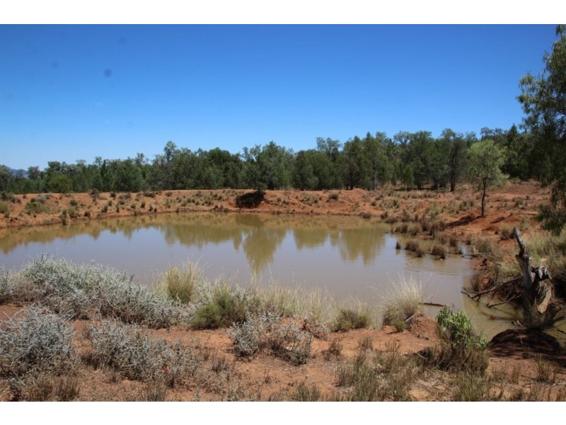 “Balfour”, Warialda NSW 2402