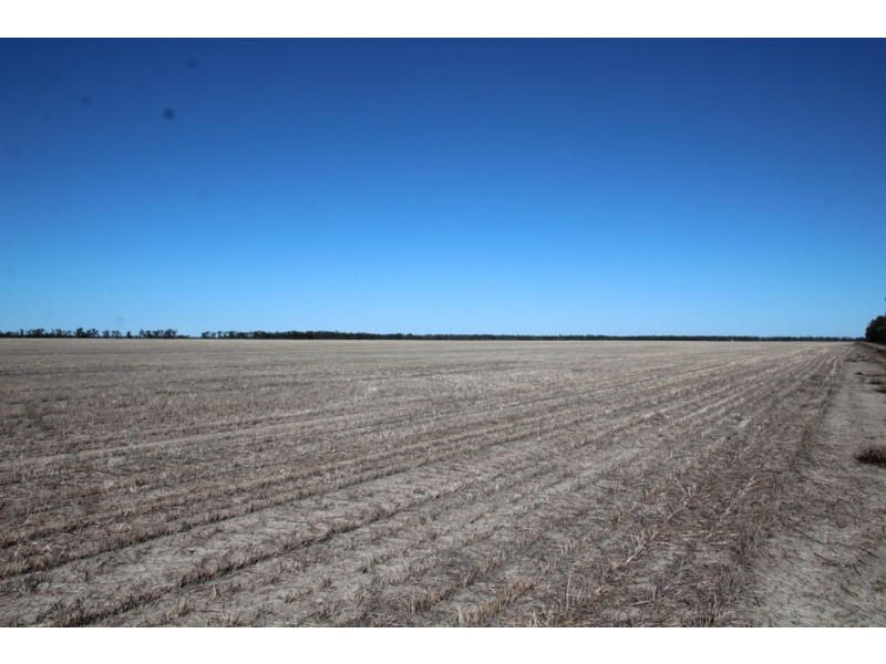 Barbimac & Yuronga, Garah NSW 2405