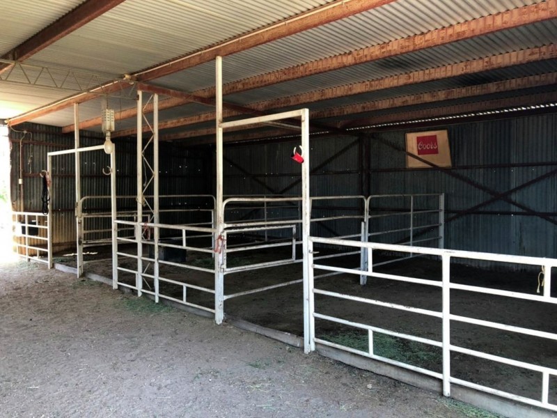 “Ranchwood”, Moree NSW 2400