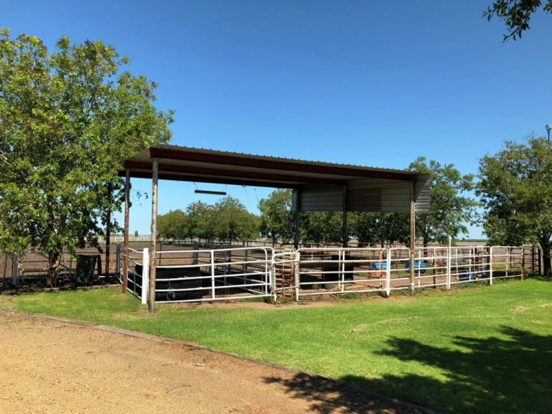 “Ranchwood”, Moree NSW 2400