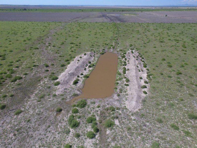 “Ranchwood”, Moree NSW 2400