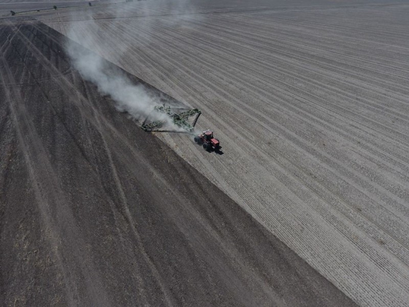 “Silver Wings”, Moree NSW 2400