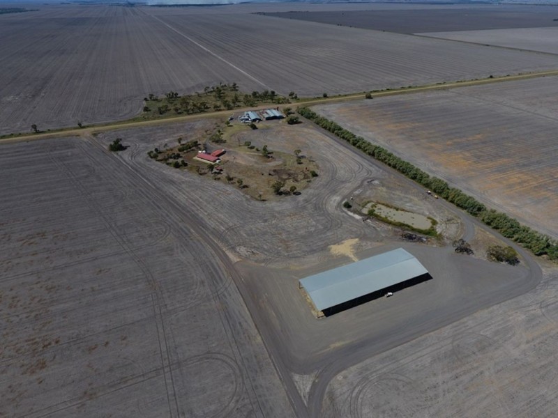 “Silver Wings”, Moree NSW 2400