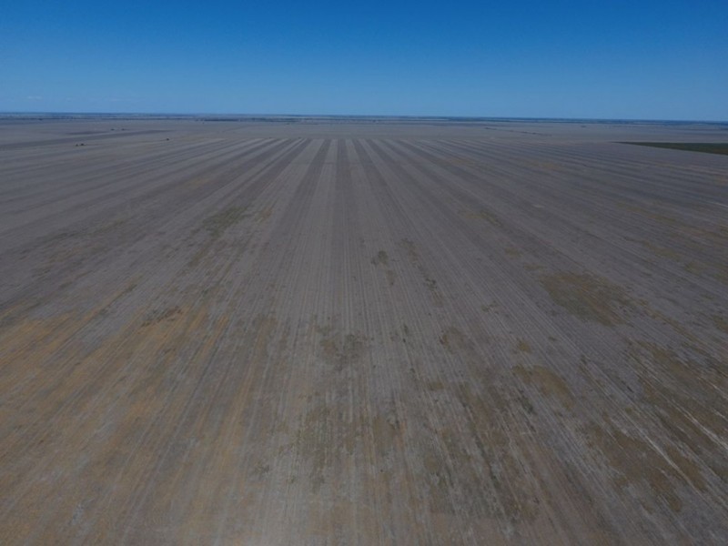 “Silver Wings”, Moree NSW 2400