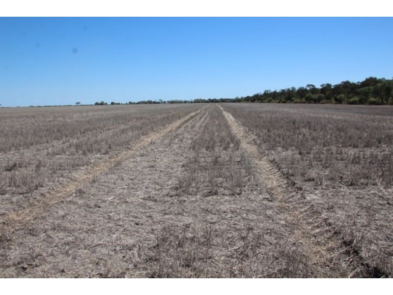 “Silver Wings”, Moree NSW 2400