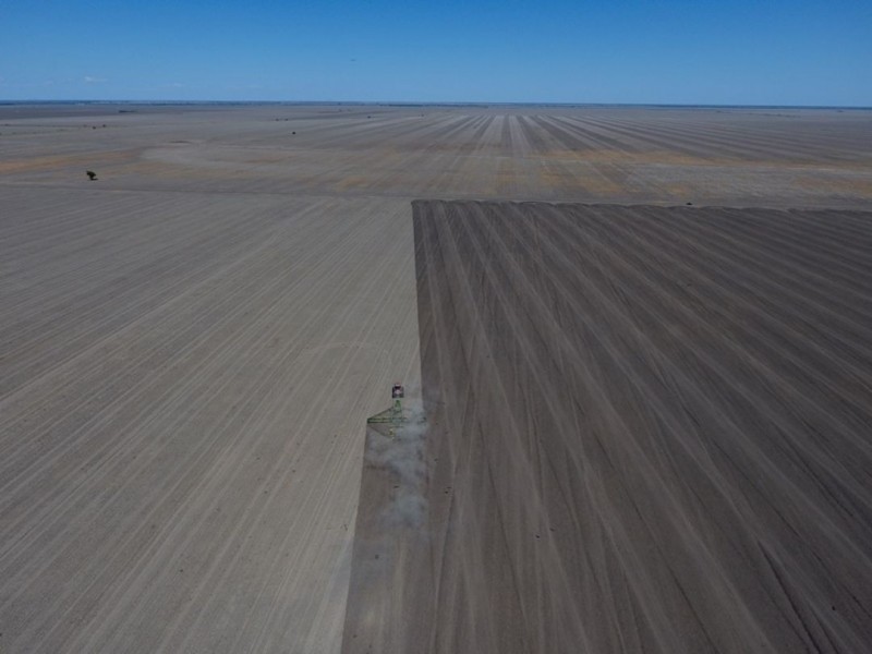 “Silver Wings”, Moree NSW 2400