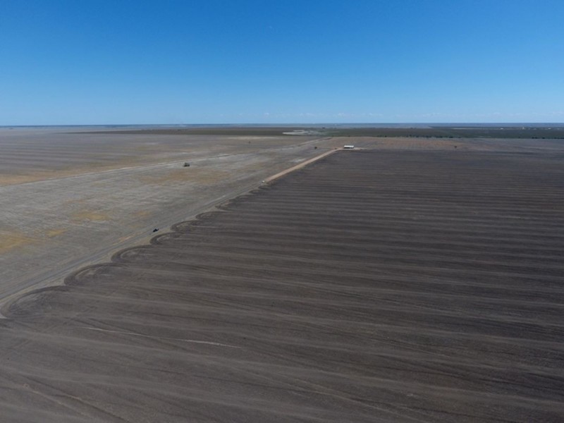 “Silver Wings”, Moree NSW 2400