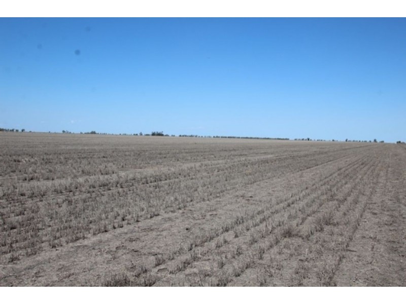 “Silver Wings”, Moree NSW 2400
