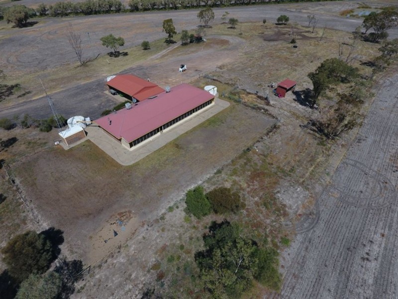 “Silver Wings”, Moree NSW 2400
