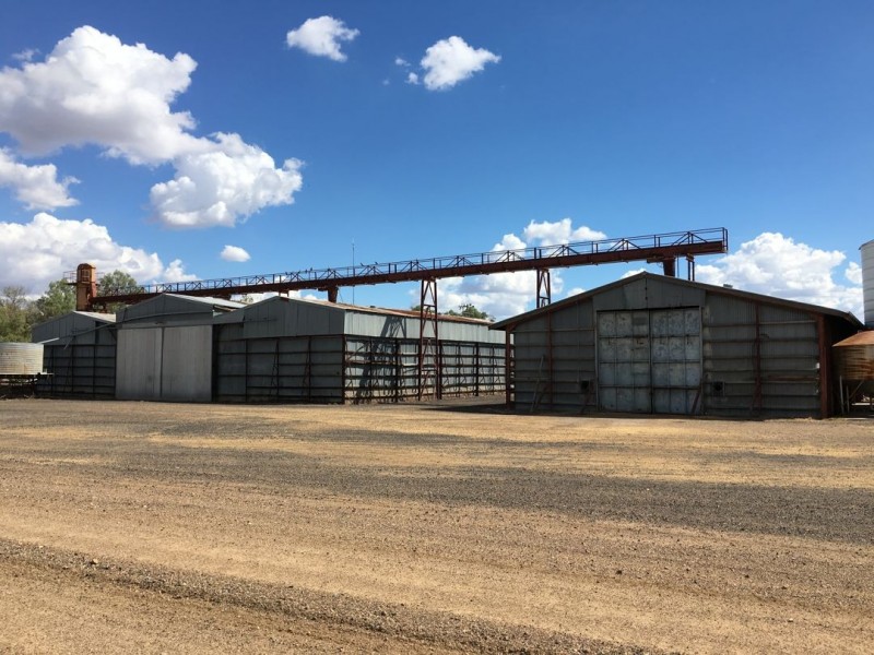 “Silver Wings”, Moree NSW 2400