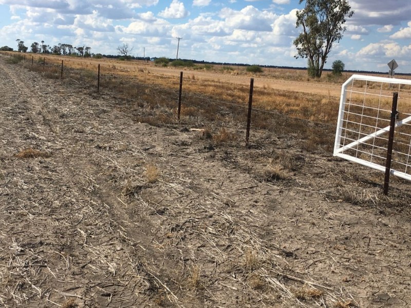 “Silver Wings”, Moree NSW 2400