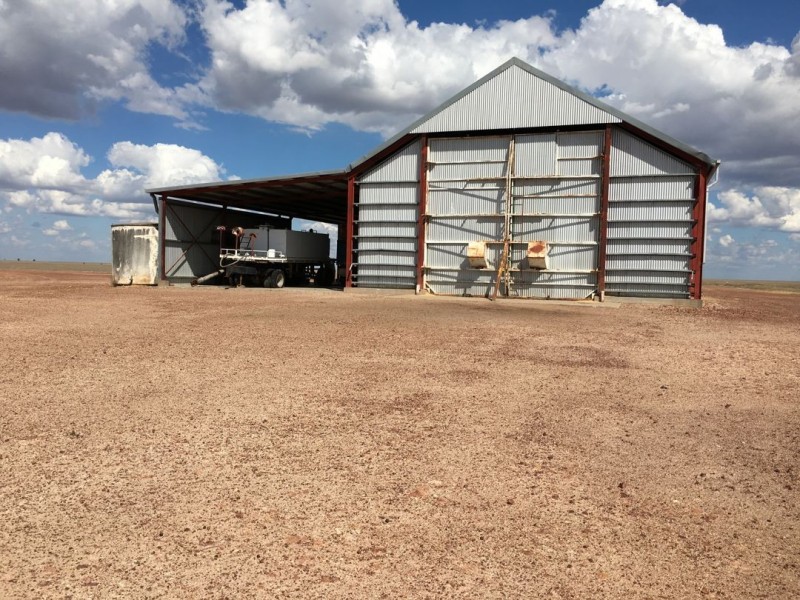 “Silver Wings”, Moree NSW 2400