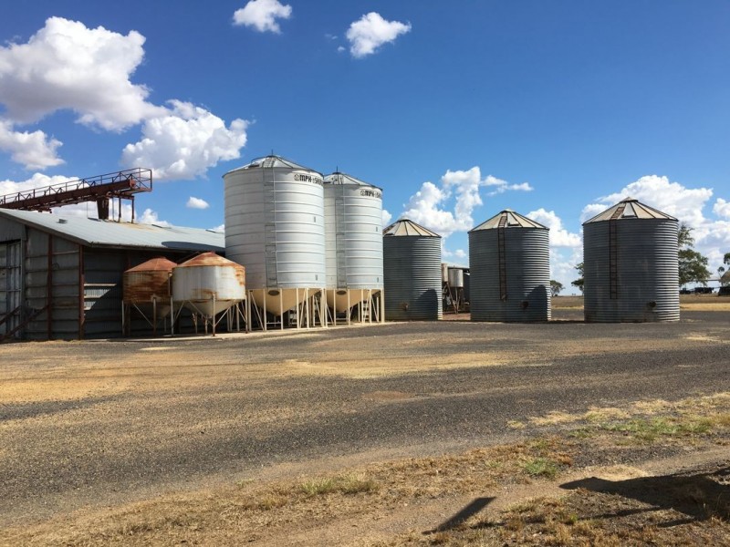 “Silver Wings”, Moree NSW 2400