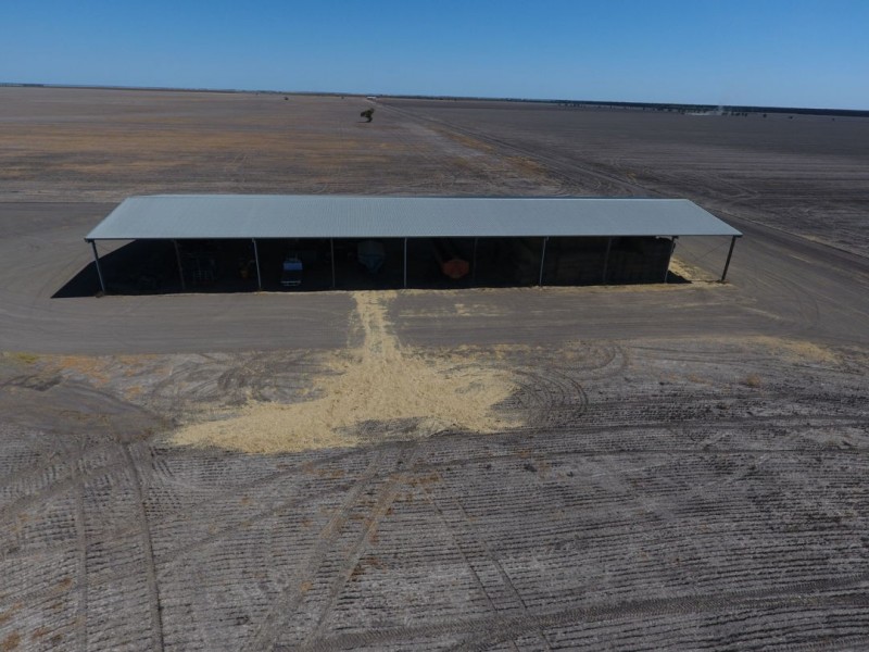 “Silver Wings”, Moree NSW 2400