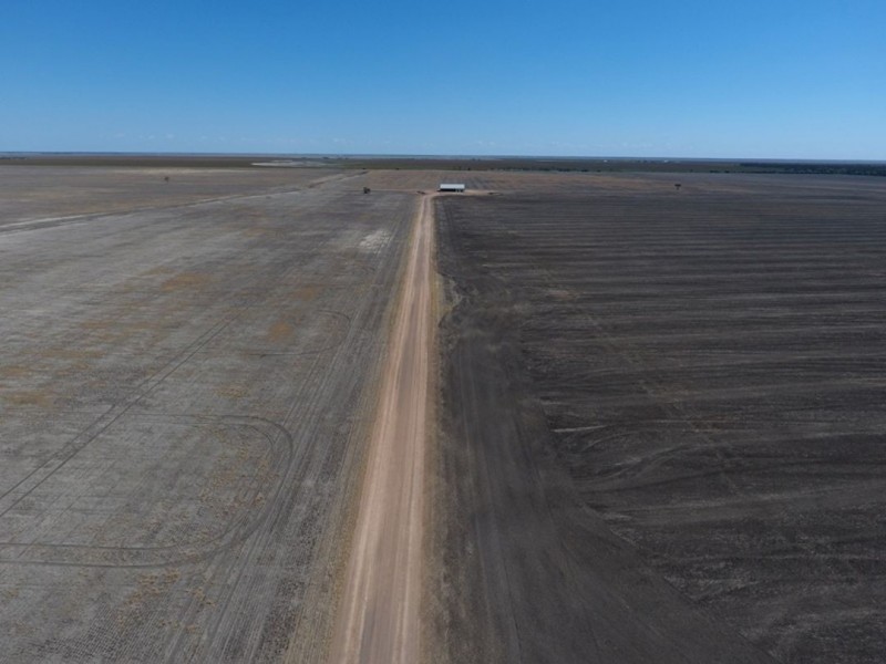 “Silver Wings”, Moree NSW 2400