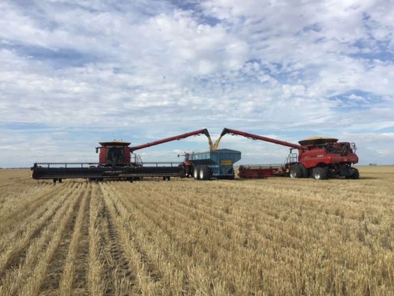 “Silver Wings”, Moree NSW 2400