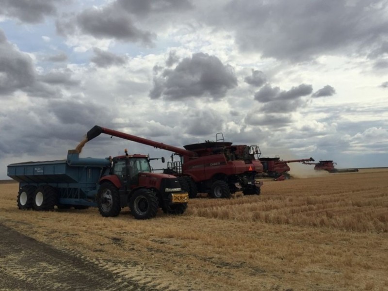 “Silver Wings”, Moree NSW 2400