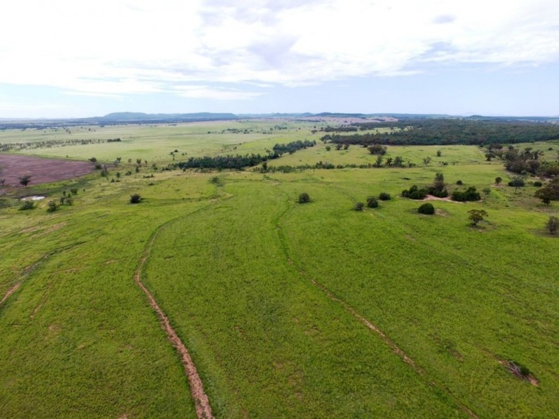 Yagobie, Gravesend NSW 2401