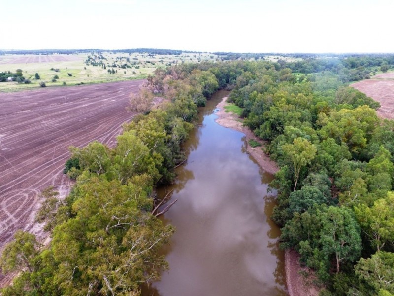 Yagobie, Gravesend NSW 2401