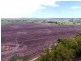 Yagobie, Gravesend NSW 2401