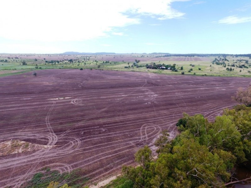 Yagobie, Gravesend NSW 2401