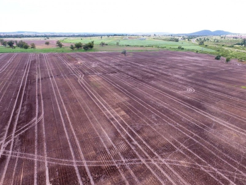 Yagobie, Gravesend NSW 2401