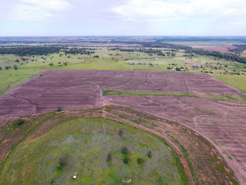 Yagobie, Gravesend NSW 2401