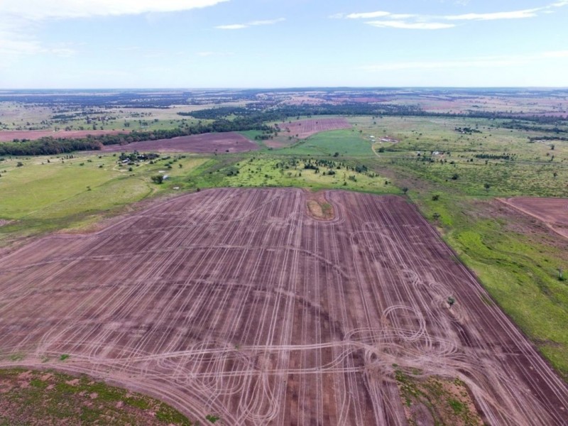 Yagobie, Gravesend NSW 2401