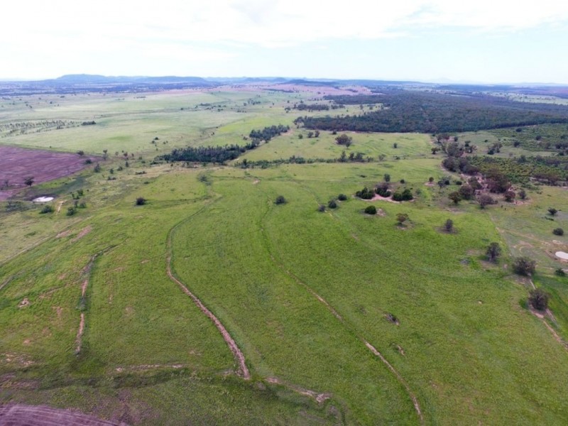 Yagobie, Gravesend NSW 2401