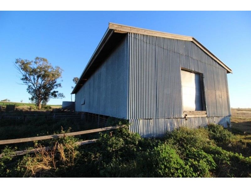 Yagobie, Gravesend NSW 2401
