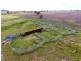 Yagobie, Gravesend NSW 2401