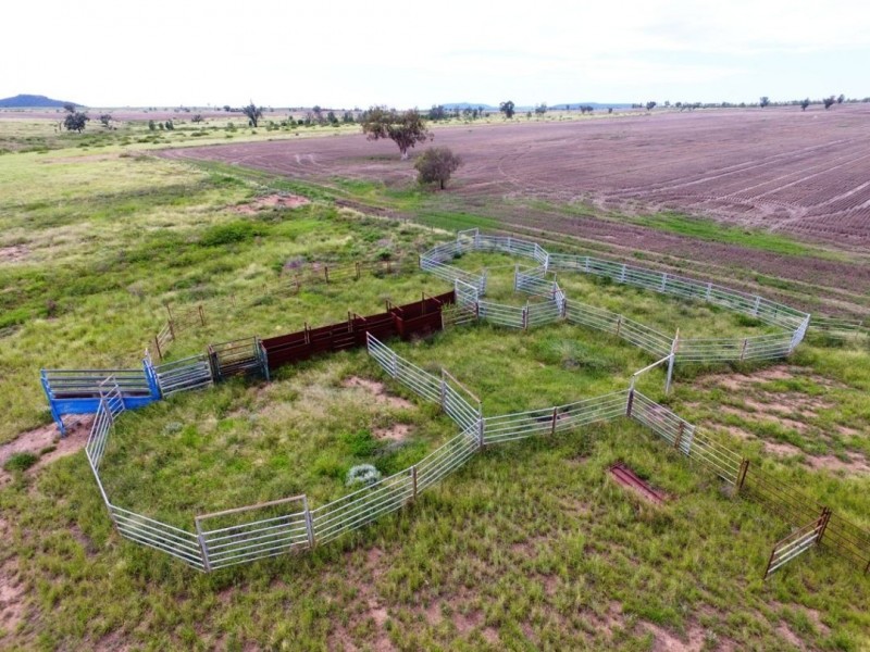 Yagobie, Gravesend NSW 2401