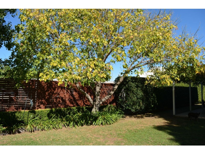 56 EDWARD STREET, Moree NSW 2400